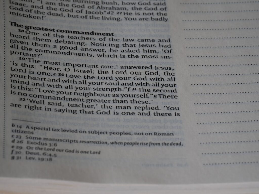 essenzielle bedingung, die unerlässlich ist, damit ein bestimmtes ereignis oder ergebnis eintritt.